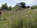 26 June 2005